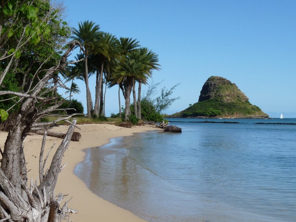 Best Places To Jetski Hawaii Coast
